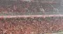 Galatasaraylı taraftarlardan Filistin’e destek