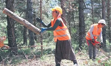 Orman ekonomisinde 100 bin kadın var
