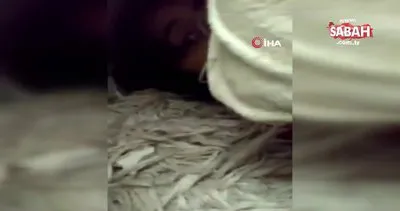 Son dakika! İzmir’de İdil Şirin ’in deprem enkazı altında itfaiye eriyle konuştuğu gözleri yaşartan anlar kamerada | Video