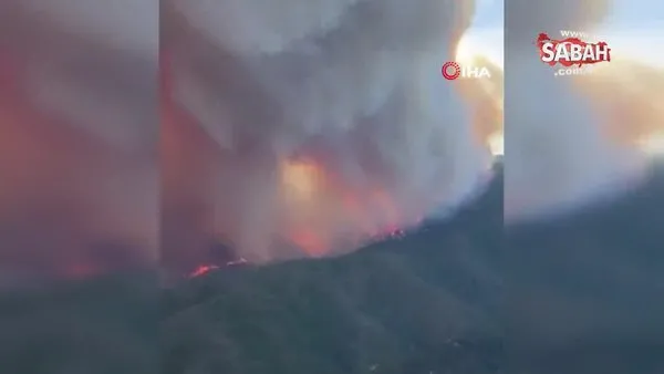 İspanya'da orman yangını: 3 yaralı | Video
