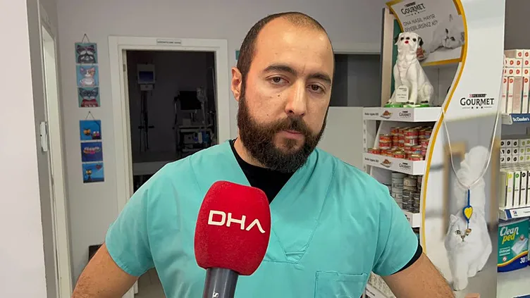 SON DAKİKA... Sokak köpeği yavrusunu veterinere getirdi: O anları güvenlik kamerası kaydetti!