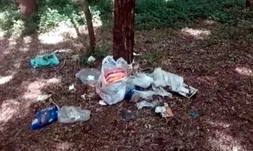 Piknikçiler ormanları çöplüğe çeviriyor