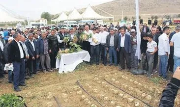 Damlaya damlaya şeker oluyor