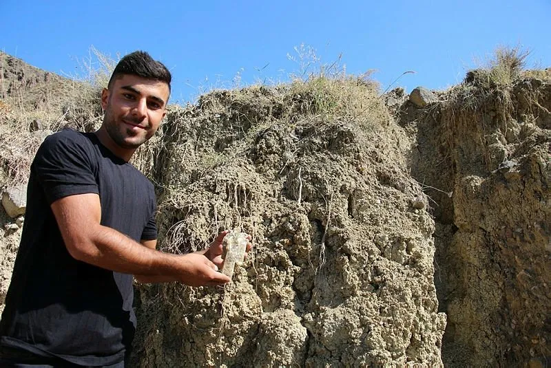 Erzurum U Heyecan Basti Bu Koyun Tasi Topragi Altin Ekonomi Haberleri