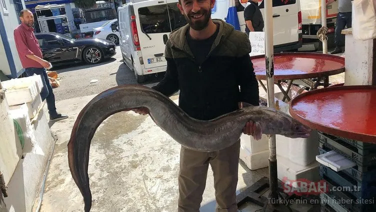 Antalya Körfezi’nde 30 kilogramlık deniz yılan balığı yakalandı
