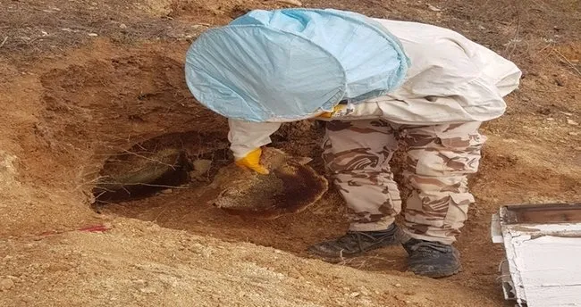 Arılar yer altında bal üretmiş