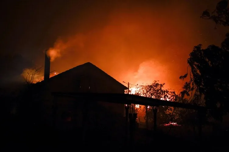 Portekiz’de orman yangını: 57 ölü