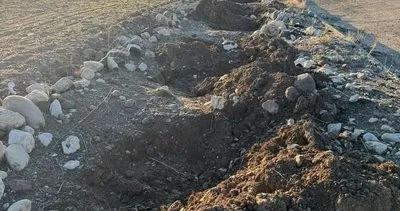 Tunceli’de 30 ağaç kimliği belirsiz kişi yada kişilerce söküldü #tunceli