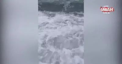 Melis Sezen kıyafetleriyle denize girdi!