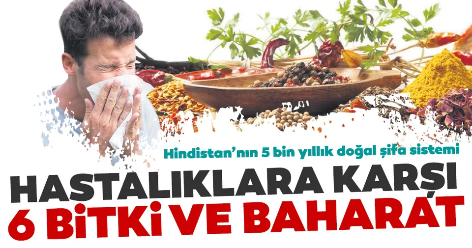 Hastalıklara karşı 6 bitki ve baharat - - Sağlık Haberleri