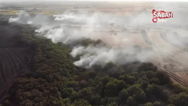 Trakya’da bu yaz 126 hektar ormanlık alan yandı | Video