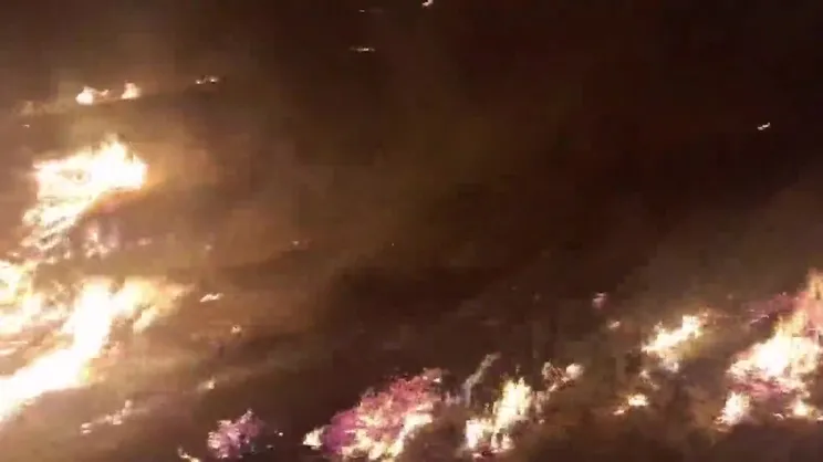 Mersin Erdemli’de orman yangını