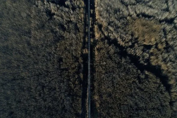 Bozkırın kuş cenneti 'Sultan Sazlığı'