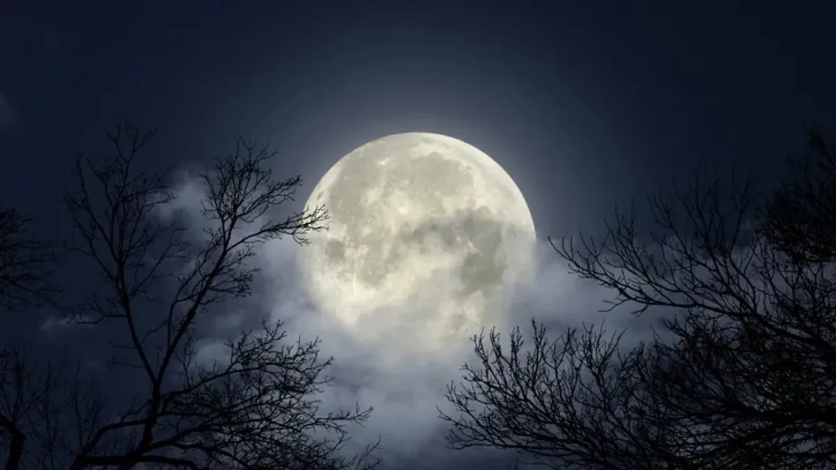 Mayıs dolunayı ne zaman, hangi gün gözlemlenecek? 2026 Mayıs dolunayının tarihi burçlara etkisi Mayıs dolunayı ne zaman, hangi gün gözlemlenecek? 2026 Mayıs dolunayının tarihi burçlara etkisi