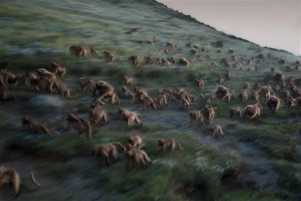 NG`den yılın en iyi fotoğrafları