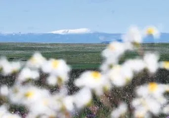 Haziran'da kar sürprizi! - 1