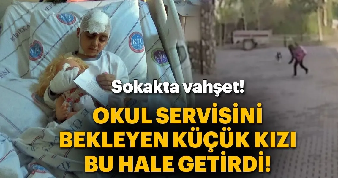 kirsehir de sokak kopegi vahseti son