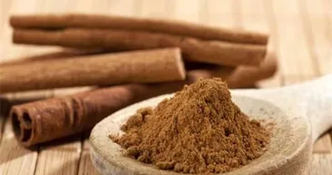 Bu baharatlar yağ yakıyor!