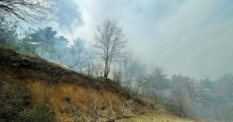 Son dakika: Bursa’da iki orman yangını! Müdahaleler sürüyor