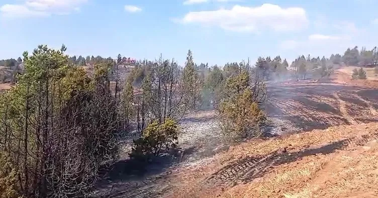 Sivas’ta ormanlık alanda yangın