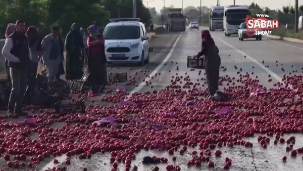Domates taşıyan TIR kaza yapınca vatandaşlar domatesleri tarladan toplar gibi böyle topladı