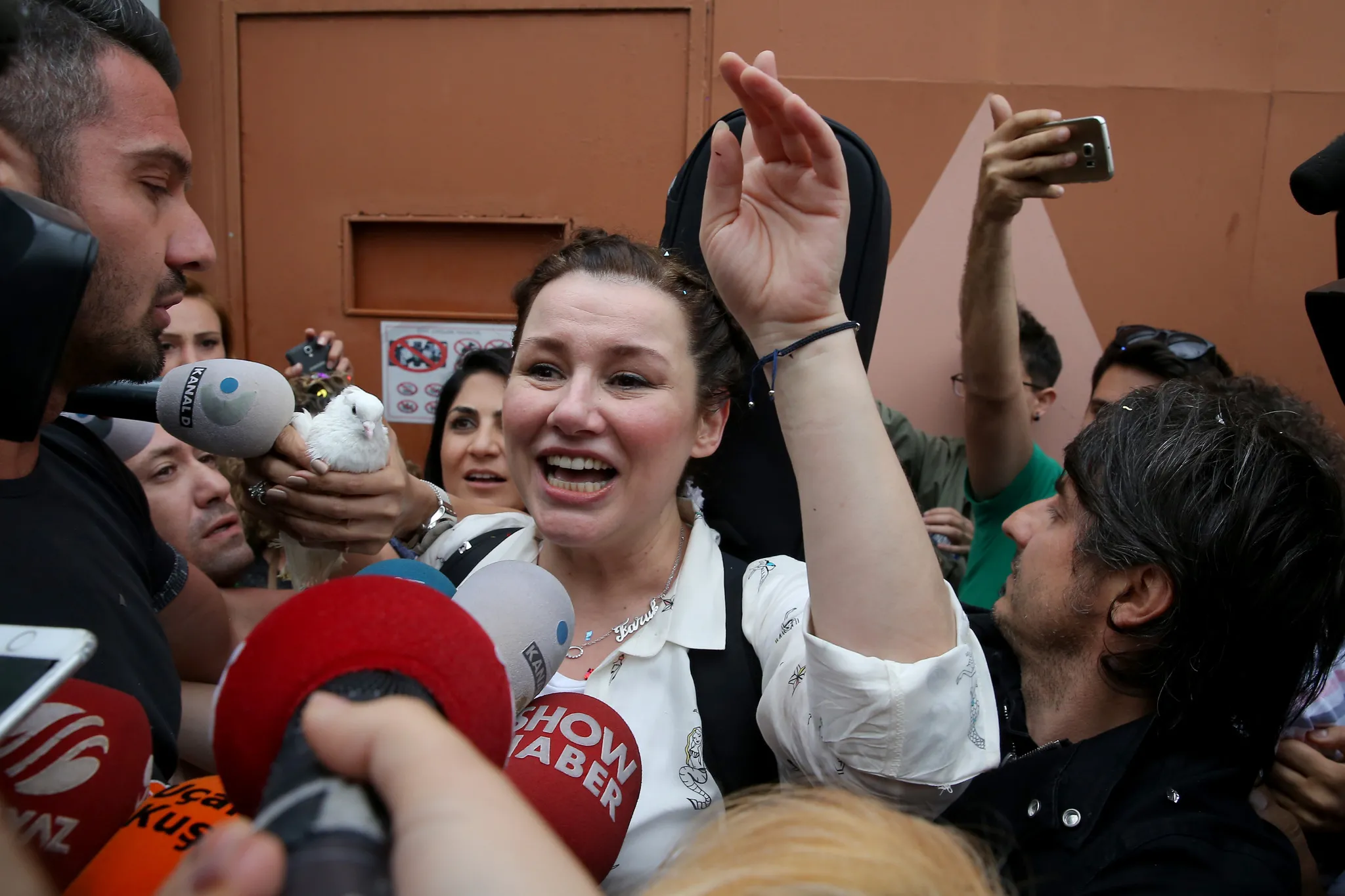 Seki b. Seki o. Seki картинки. Seki o. Seki фото.