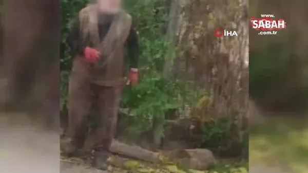 Sakarya Arifiye'de yavru köpeklere basan şahıstan genç kıza tokatlı saldırı | Video