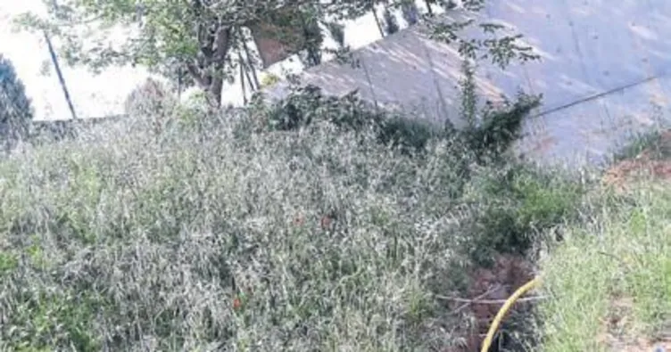 Fabrika arazisine uyuşturucu baskını