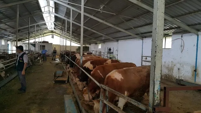 90-milyonluk-vurgunda-dikkat-ceken-detay-paralarla-bakin-ne-yapmislar-1624874128739.jpg İstanbul’da araç satma vaadiyle 90 milyonluk vurgun yapıp Tokat’ta çiftlik kurdular - 1