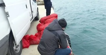 Beyoğlu’nda ele geçirilen 3 ton midye denize döküldü