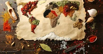 Dünyanın en iyi 100 yemeği belli oldu! Türk lezzetleri ilk 10’a damga vurdu