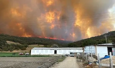 Bursa Yenişehir'de çıkan orman yangını kontrol altına alındı! Soğutma çalışmaları sürüyor #bursa
