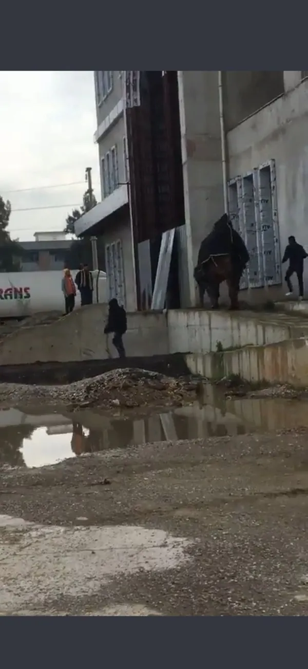 chpli-torbali-belediyesinden-buyuk-ayip-hizmet-binasi-diye-insa-edildi-deve-agili-oldu-1675700765004.jpg