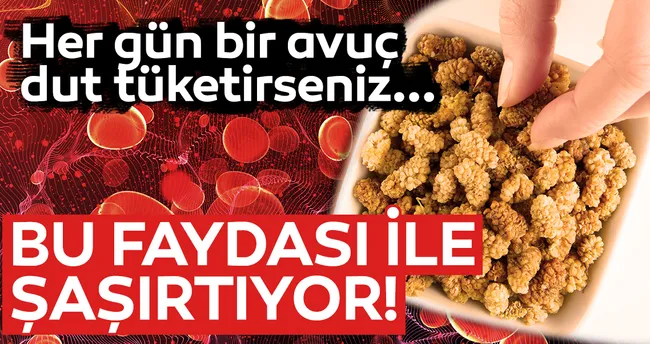 Bir avuç dutun 9 mucizevi faydası! Şifa deposu dutun faydaları sizi çok şaşırtacak!