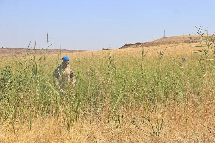 SON DAKİKA HABERLERİ | Narin Güran cinayetinde yeni detaylar! Ön otopsi raporu ortaya çıktı! Narin nasıl öldürüldü? Bacağında kırıklar var
