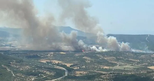 İzmir'de orman yangını! Havadan ve karadan müdahale sürüyor...