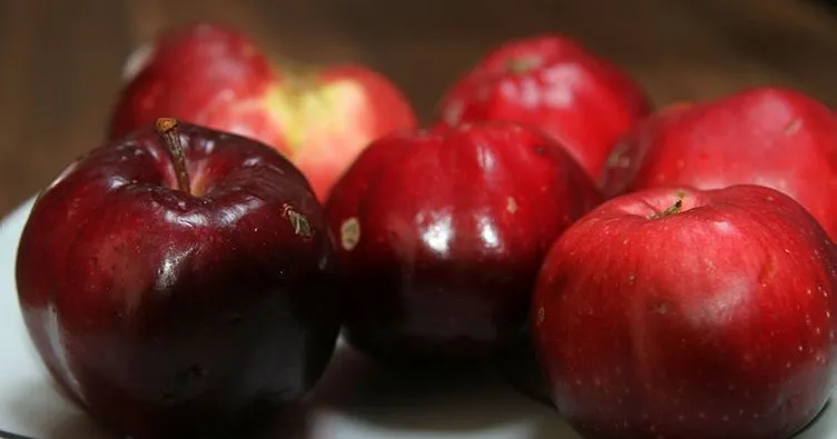 posof elmasÄ± ile ilgili gÃ¶rsel sonucu