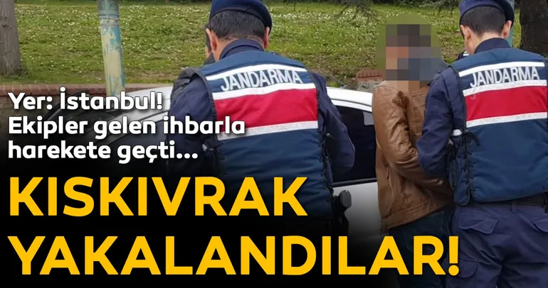 Villa farelerine jandarmadan suçüstü