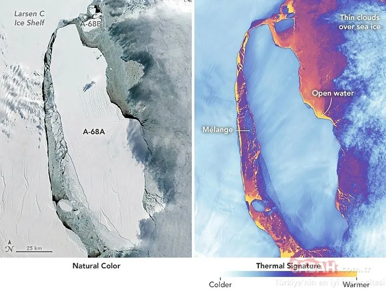 Dünyanın en eski buzulu hızla yok oluyor