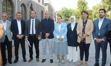 ‘Örgütlü değil toplumsal bir harekettir’