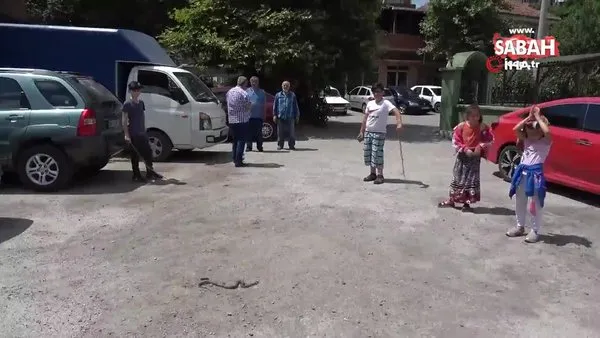 Mahalle arasında ortaya çıkan 3 metrelik su yılanı dereye bırakıldı