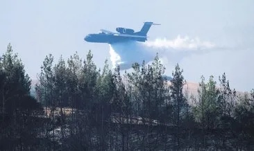 Rus yangın söndürme uçağı düştü