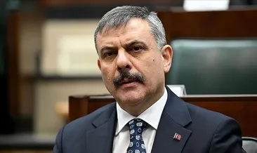 Sınırda güvenlik ortaklığı