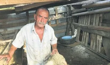 Kurban şebekesi hortladı