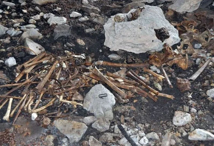 Tunceli’de bir mağarada kemik bulundu