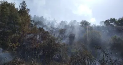 Alanya’da ormanlık alanda çıkan yangın söndürüldü