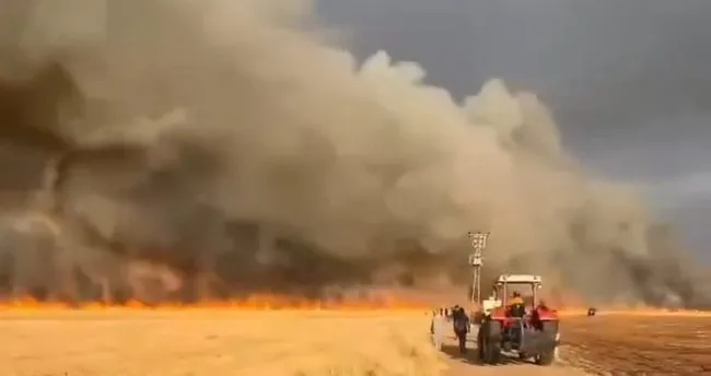 Gaziantep’te arazi yangını! 2 bin dönüm buğday küle döndü