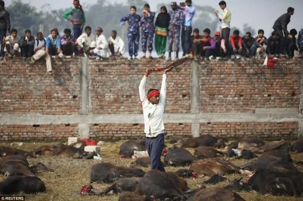 Nepal’de dehşete düşüren festival +13