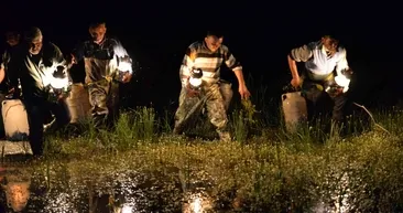 Geceleri onları gören şoke oluyor