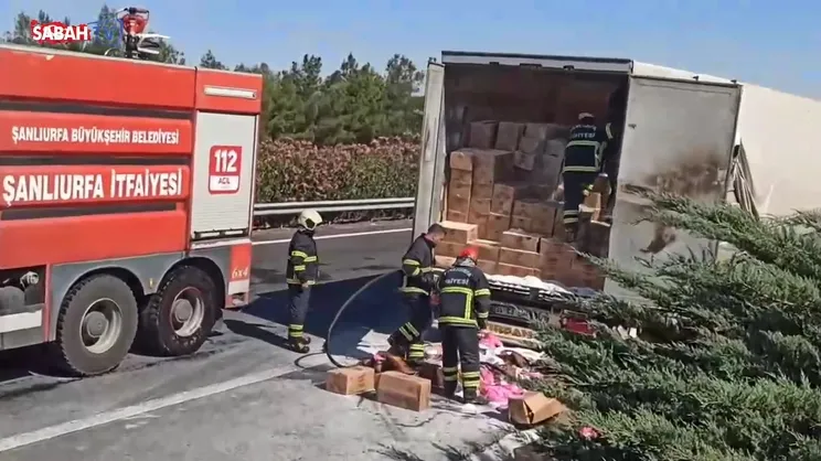 Şanlıurfa'da Tır alev alev yandı